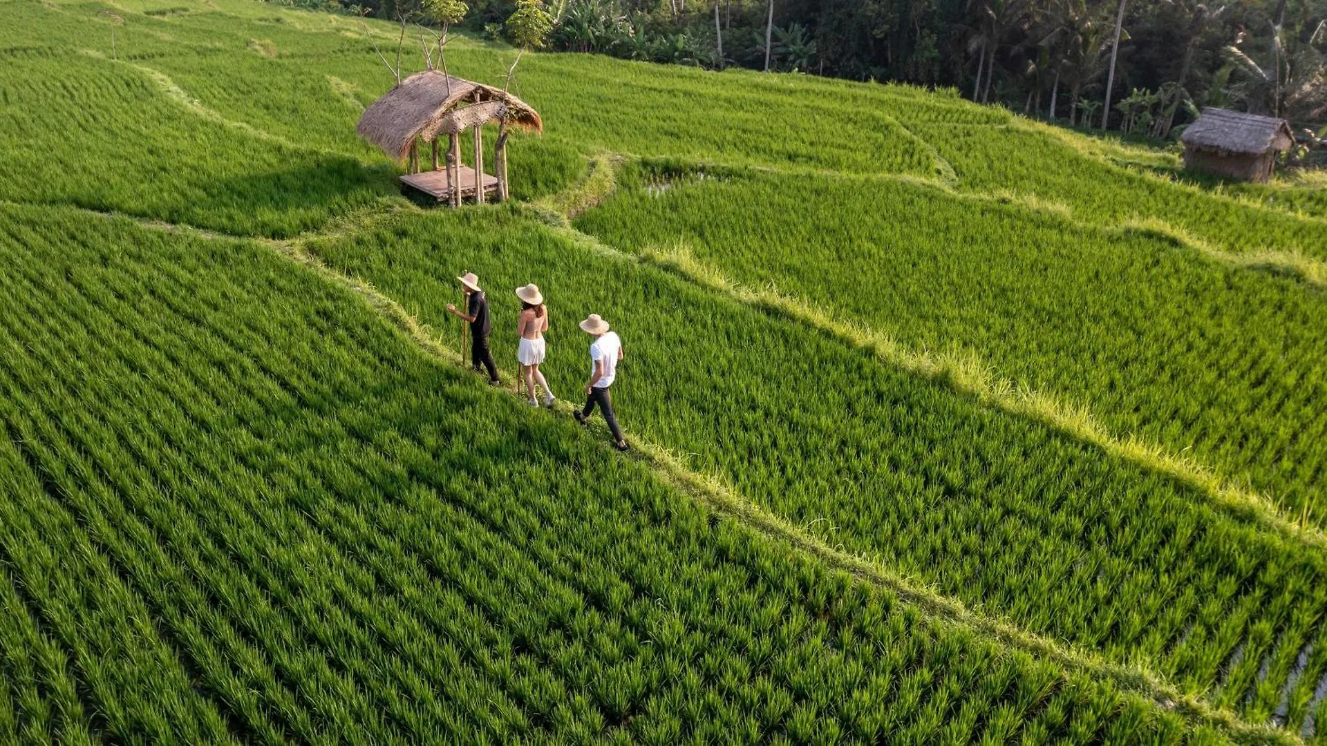 Ubud Nyuh Bali Resort & Spa  Ubud (Bali)